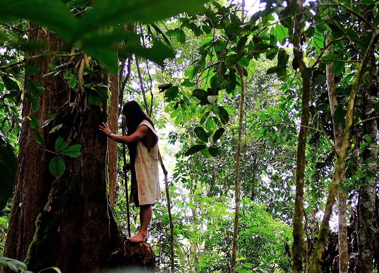 Katarina_Liskova_004_From_Amazonian_Ecuador_(2)